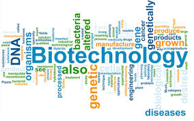Career Prospects of Biotechnology/ Microbiology in India